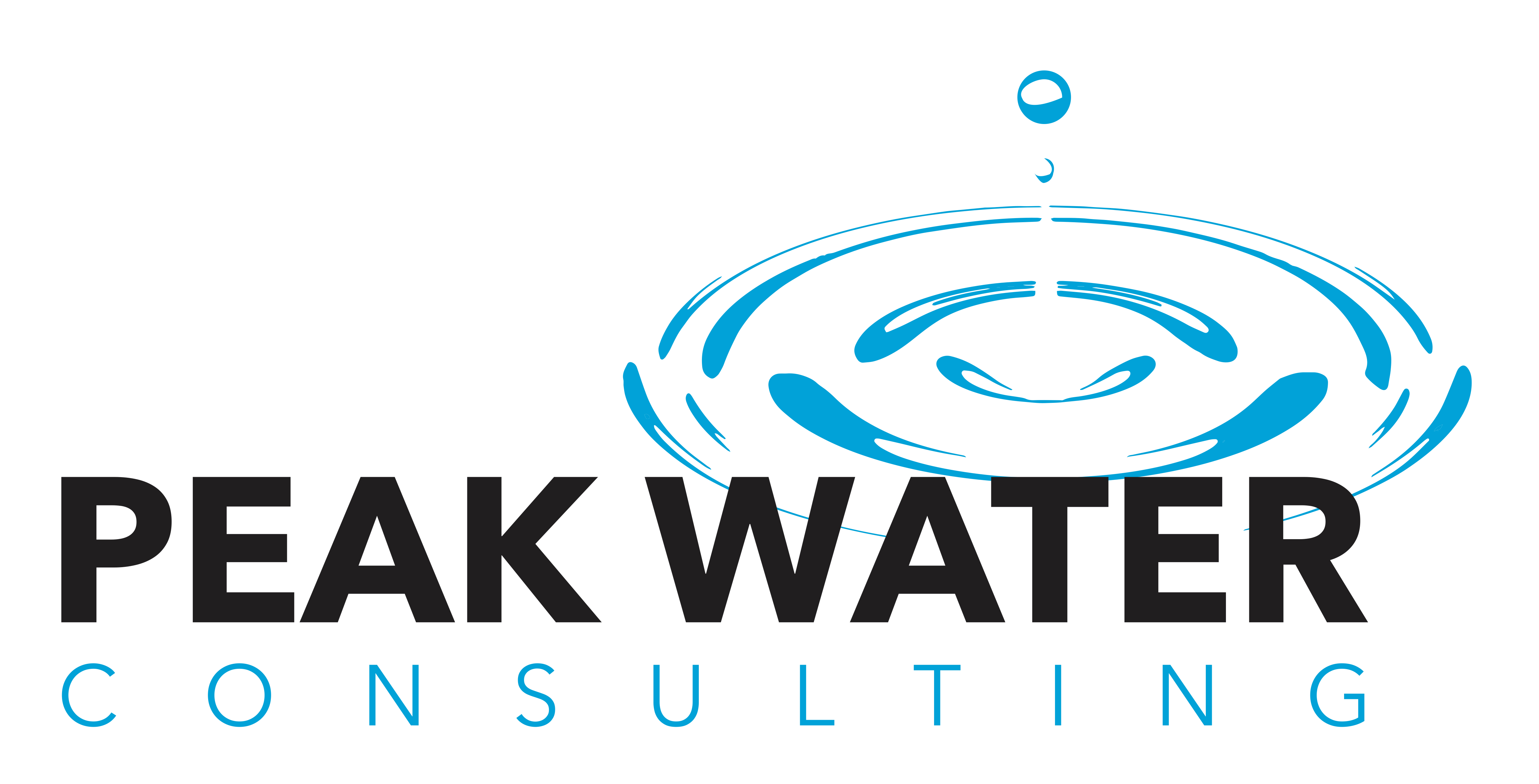 <span style="font-weight: bold;">Submitting Organisation's Logo:</span><br><br>