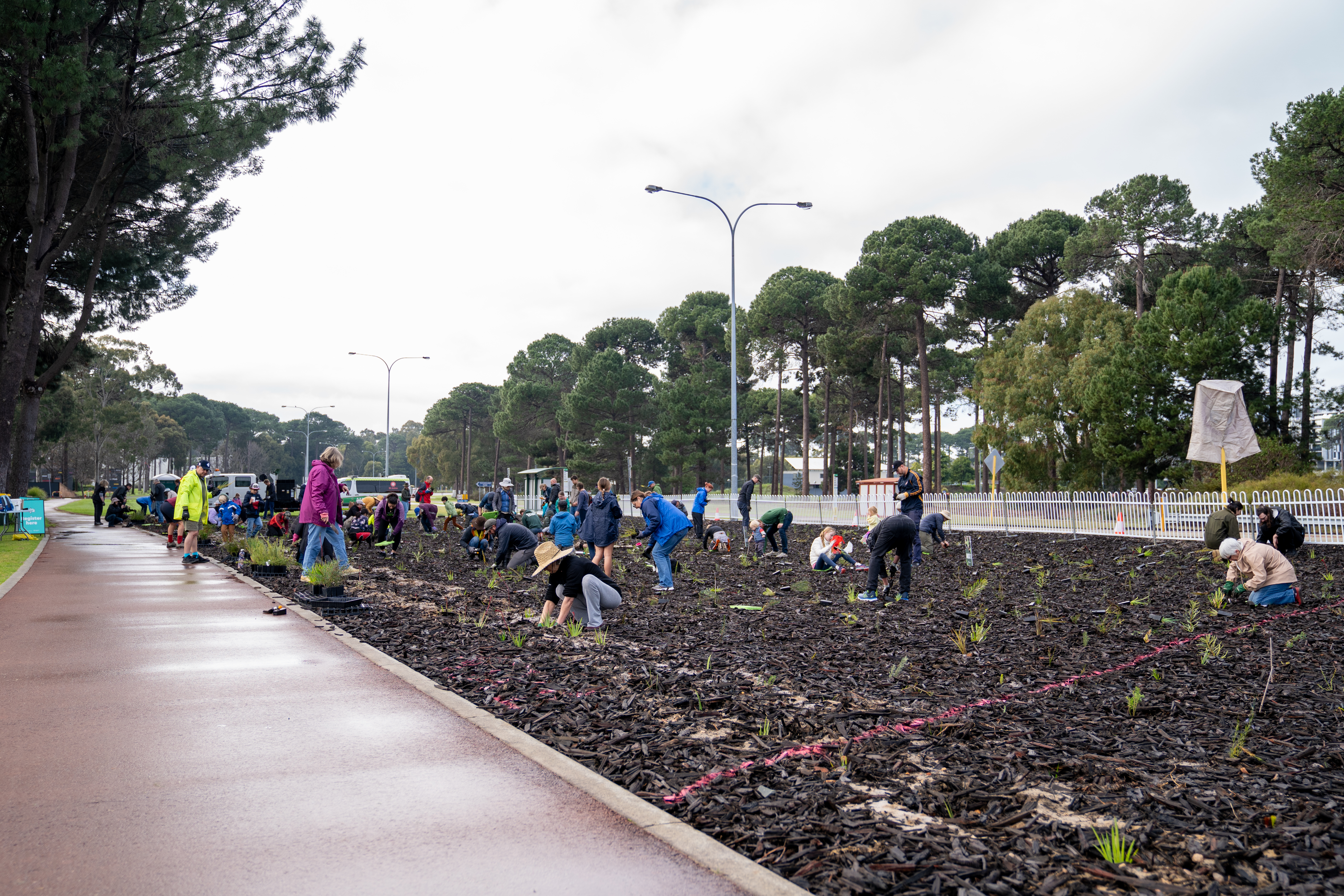 Please upload one image to be used for promotional purposes that best represents your submission