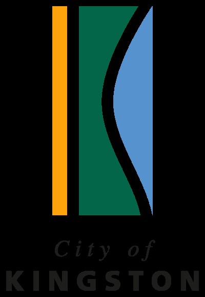 <span style="font-weight: bold;">Submitting Organisation's Logo:</span><br> <br>