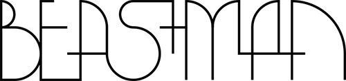 <br><p style="font-weight: bold;">Second Joint Organisation Logo:</p>