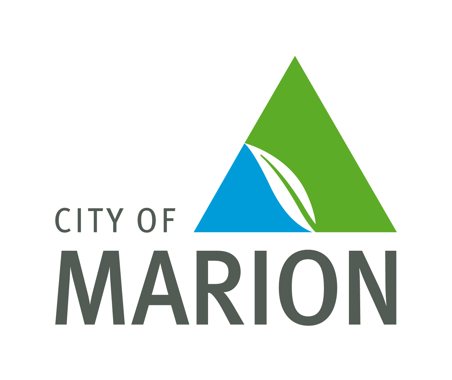 <span style="font-weight: bold;">Submitting Organisation's Logo:</span><br> <br>