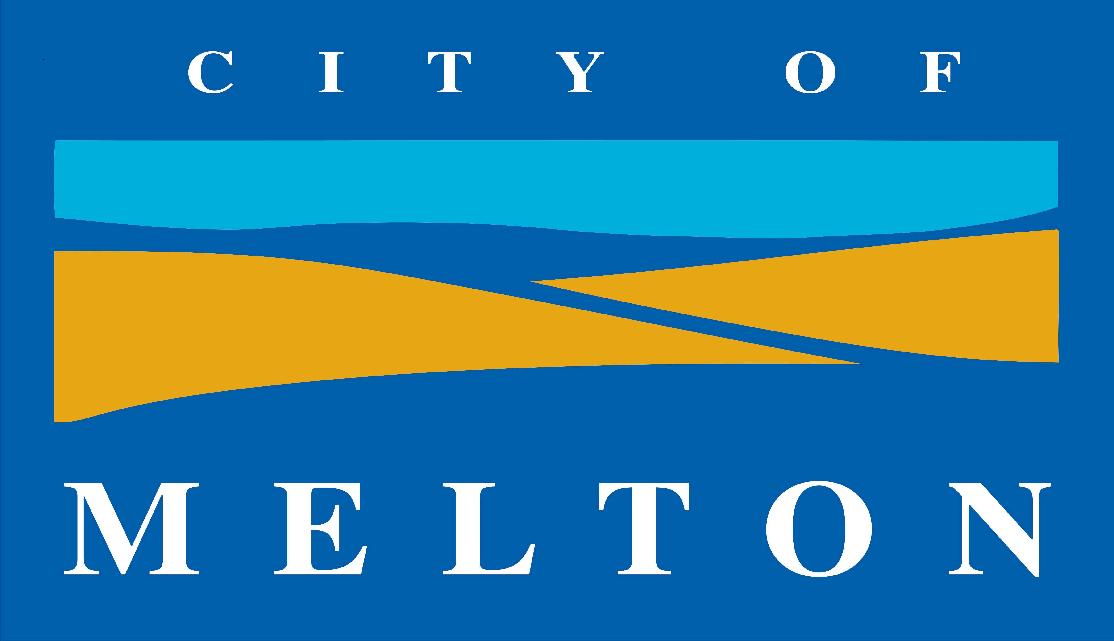 <span style="font-weight: bold;">Submitting Organisation's Logo:</span><br> <br>