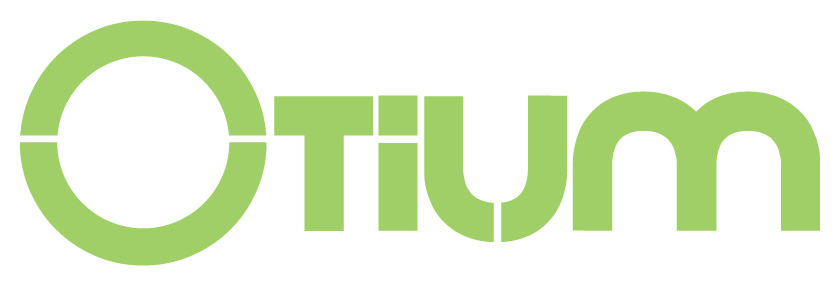 <span style="font-weight: bold;">Submitting Organisation's Logo:</span><br> <br>
