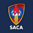 <br><p style="font-weight: bold;">Joint Organisation Logo:</p>