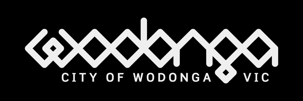 <span style="font-weight: bold;">Submitting Organisation's Logo:</span><br> <br>