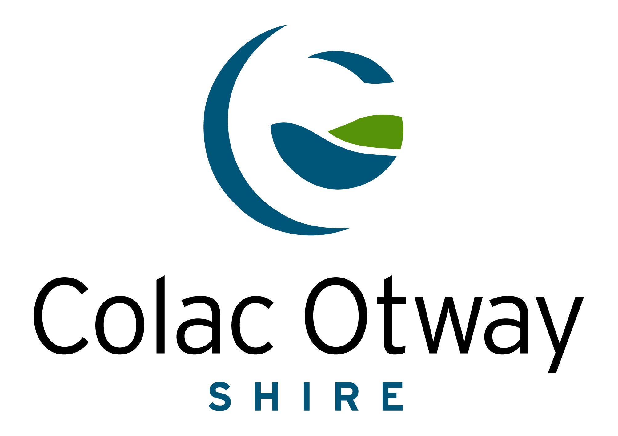<span style="font-weight: bold;">Submitting Organisation's Logo:</span><br> <br>