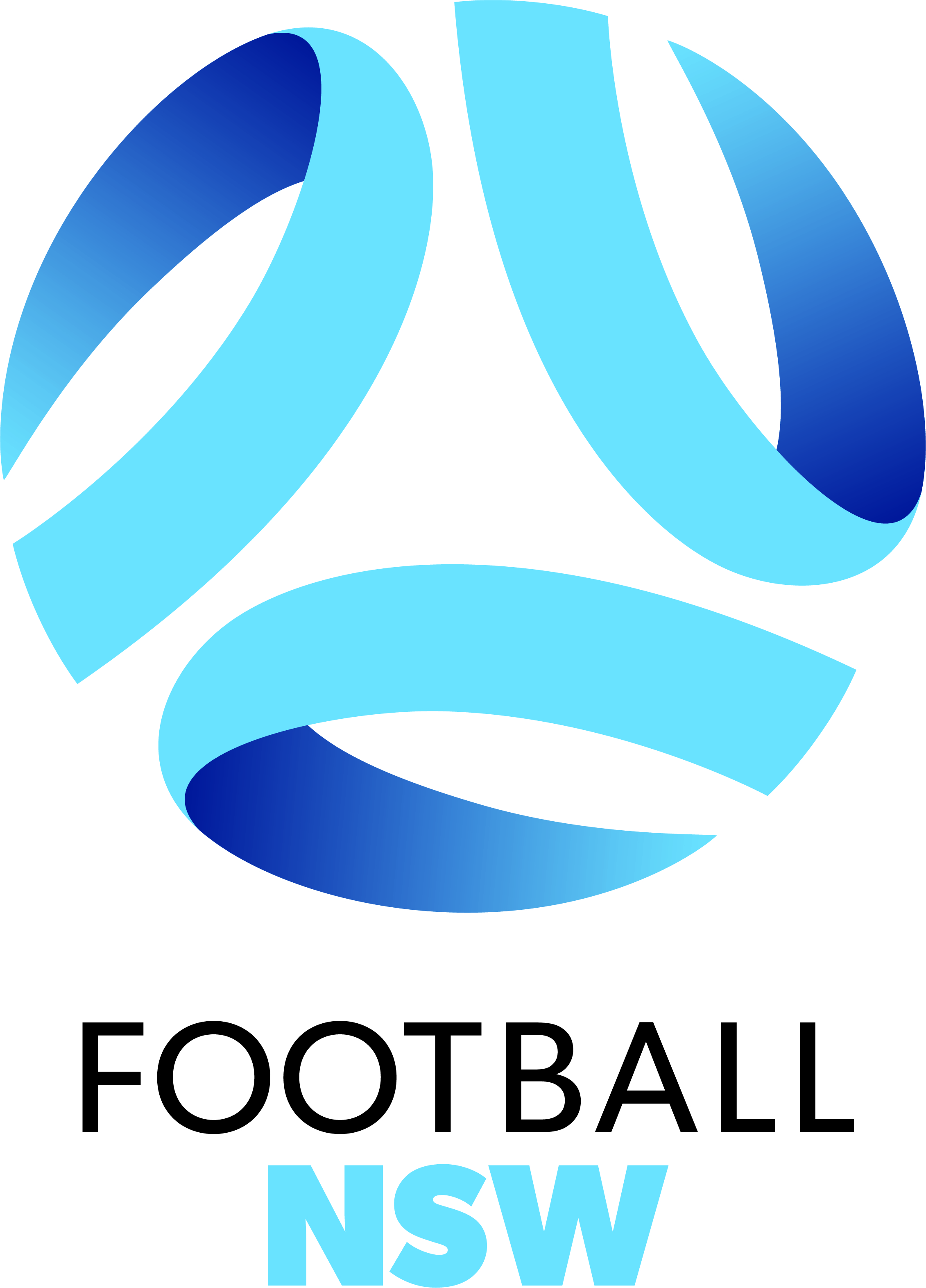 <span style="font-weight: bold;">Submitting Organisation's Logo:</span><br><br>