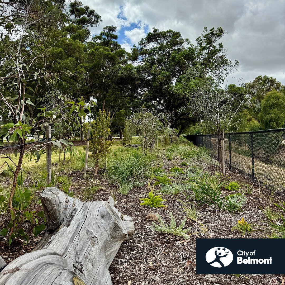 Please upload one image to be used for promotional purposes that best represents your submission